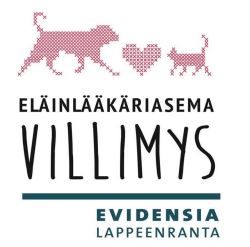 Villimys logo