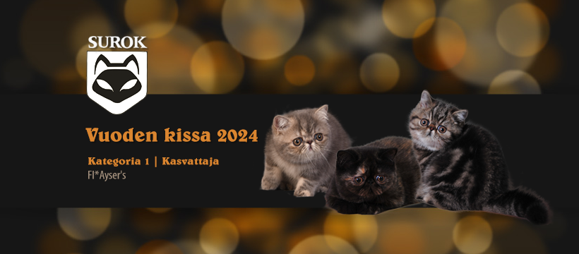 2024kat1-kasv