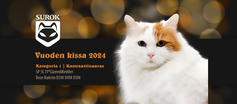 2024kat1-kn