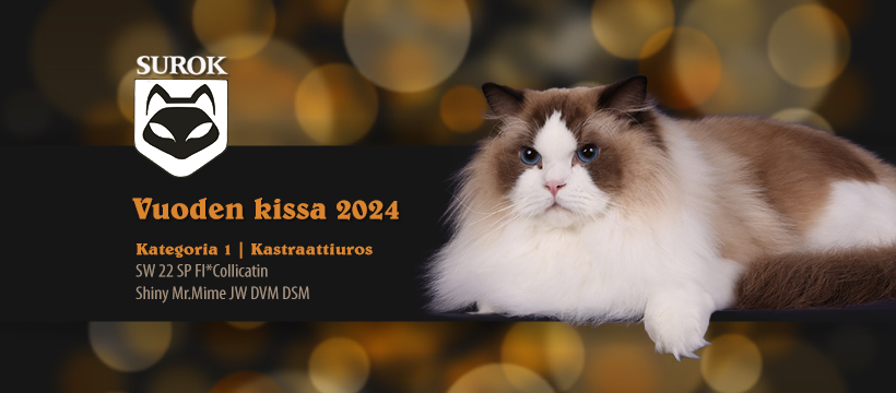 2024kat1-ku