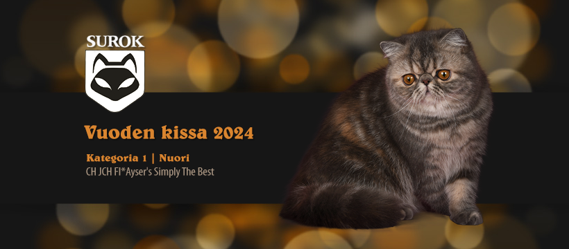 2024kat1-n