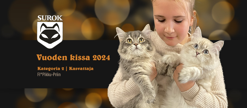 2024kat2-kas