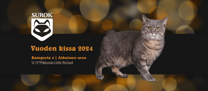2024kat3-AU