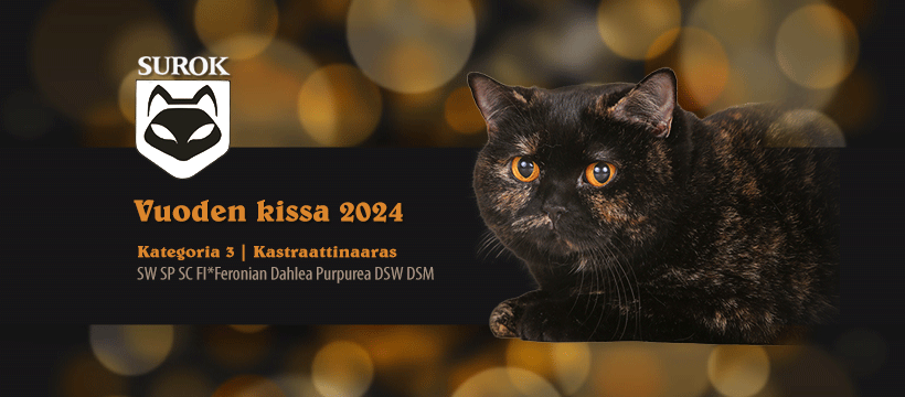 2024kat3-kn