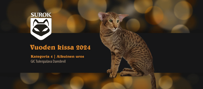 2024kat4-au